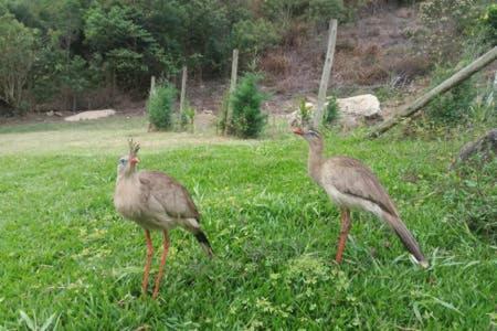 הוילה נובה פריבורגו Casa Alpina Com Vista Panoramica De Lumiar מראה חיצוני תמונה